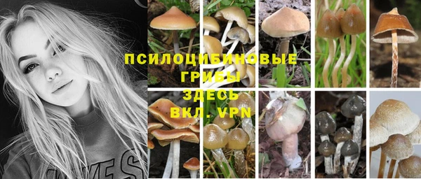метадон Гусь-Хрустальный