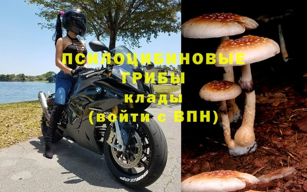 метадон Гусь-Хрустальный