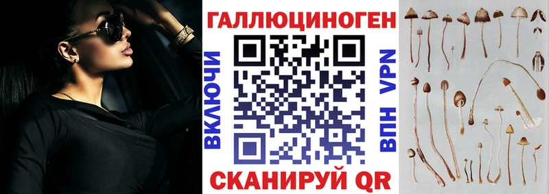 Псилоцибиновые грибы Psilocybine cubensis  наркота  Жигулёвск 